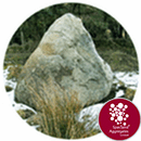 Granite Feature Boulder 2-4 tonnes - 1902